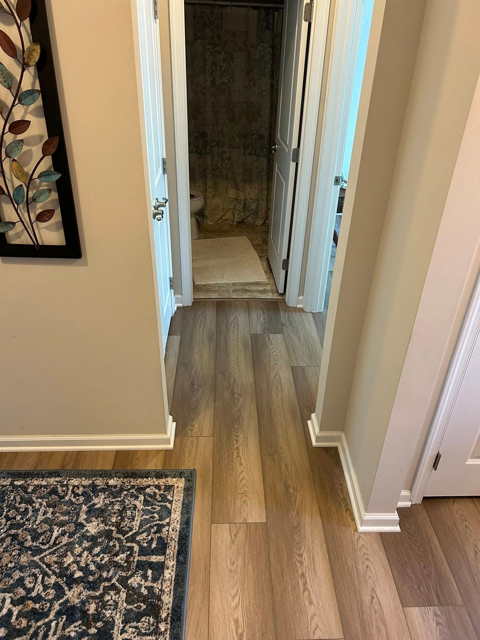 Hallways & Entries projects